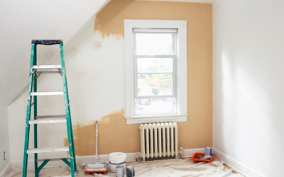 Salvage and Reuse: Green Home Renovation Guide